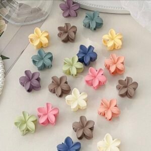 Mini Hebilla 2x Gs 5.000